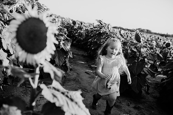 xSunflower 2022-95