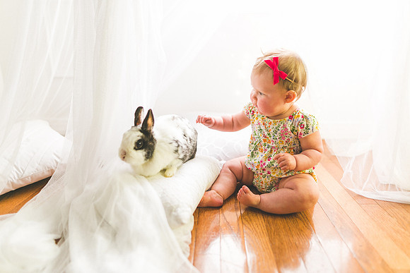 Bunnies 2019-43
