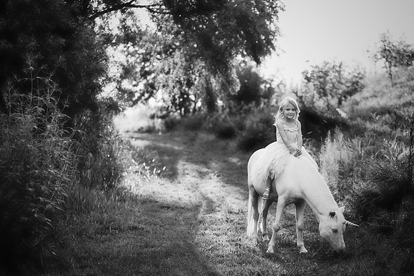 xUnicorn-24