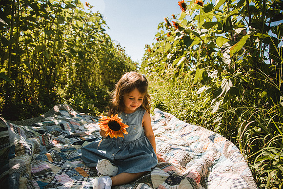 Sunflowers-51