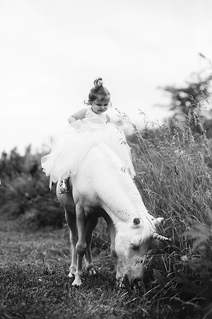xUnicorn-18