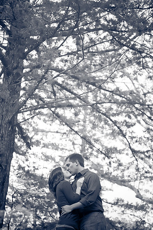 Darcy + Alex  Engage-383