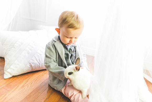 Bunnies 2019-33