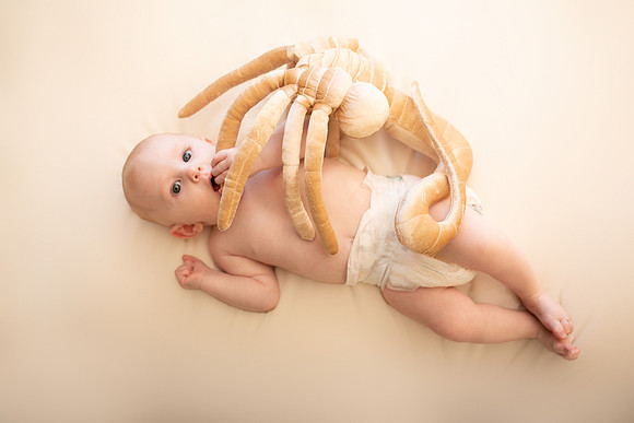 William 4mth-32