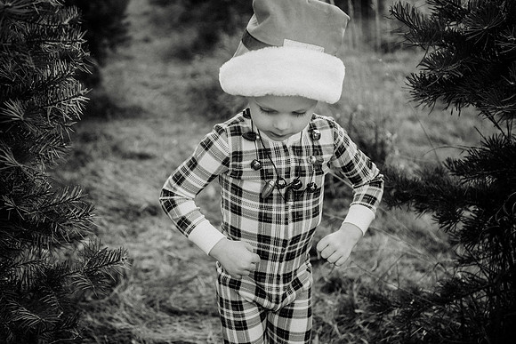 xTree Farm 2024-42