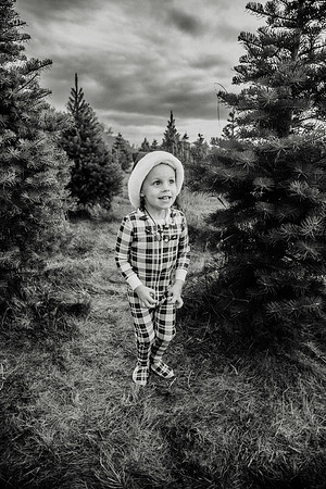 xTree Farm 2024-48