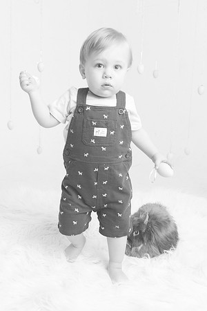 Toby-Bunny-2016-38