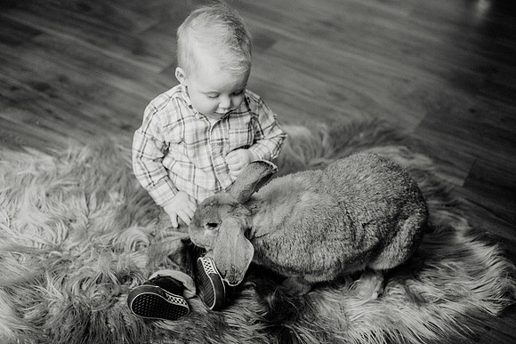 Oliver Bunnies-73