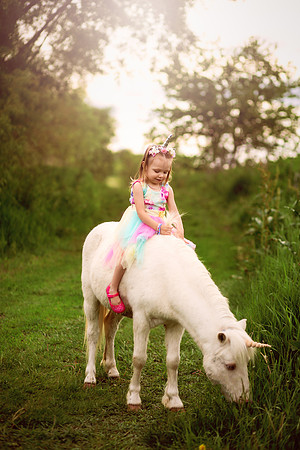 Aurora Unicorn-14