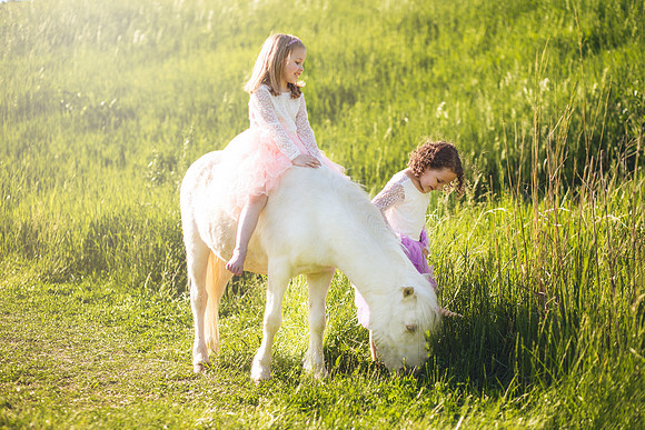 Unicorn-24
