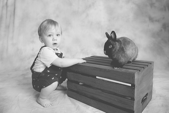 Toby-Bunny-2016-56