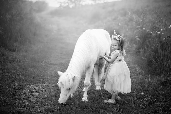 xAurora Unicorn