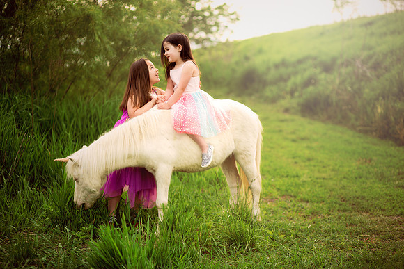 Unicorn 2019-25