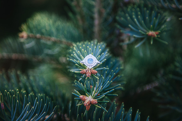 Xmas 2018-40