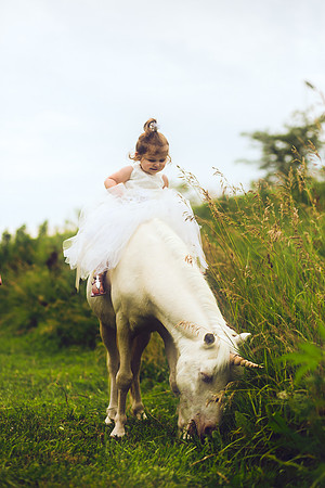 Unicorn-18