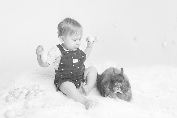 Toby-Bunny-2016-41