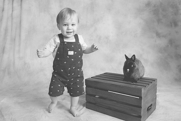 Toby-Bunny-2016-59
