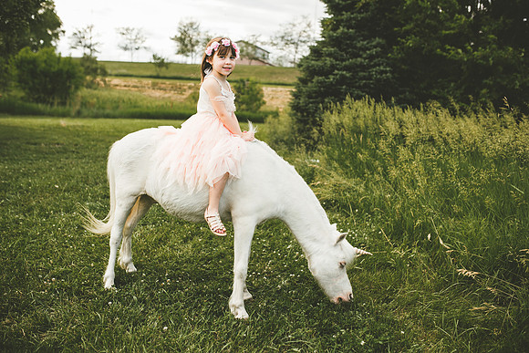 Unicorn 2021-48