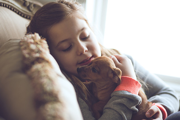 Puppies_-42