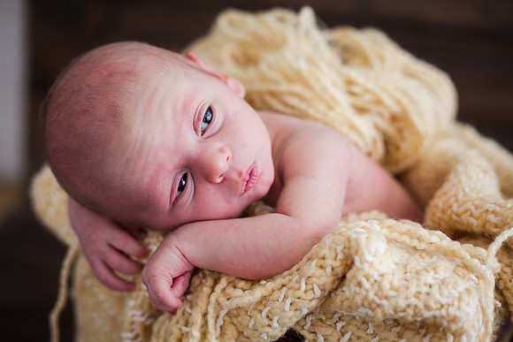 Quinn Newborn-27