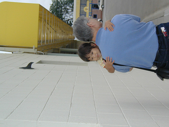 P8050031