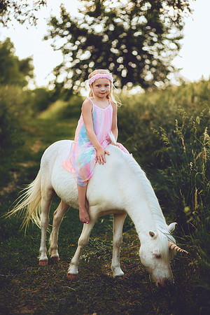 Unicorn-26