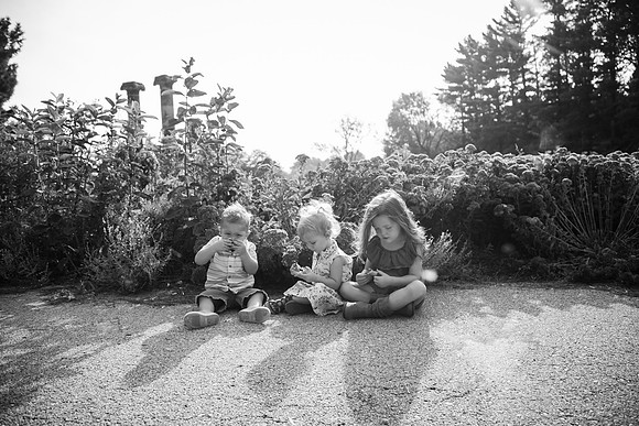 Family 2017-308