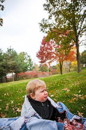 Lincoln 1yr-48
