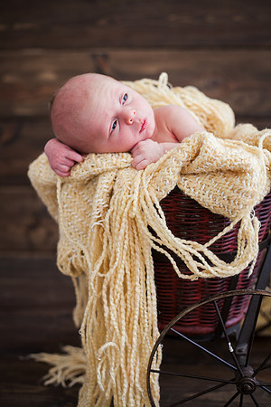 Quinn Newborn-26