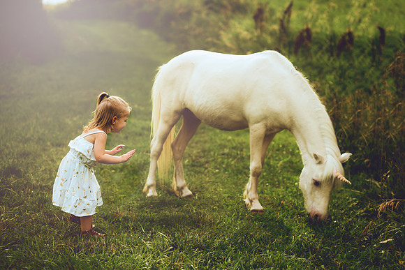 Unicorns 2019