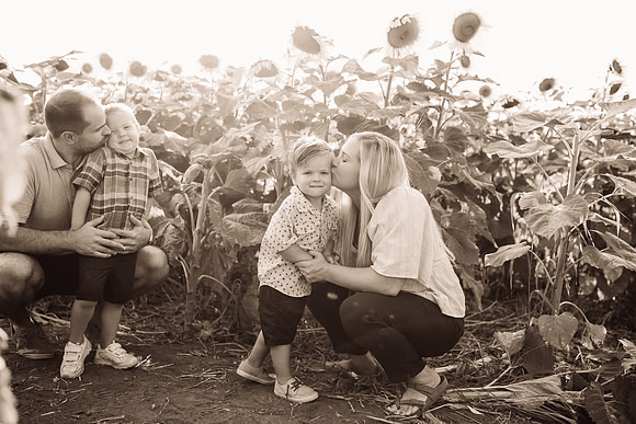 xSunflowers-27