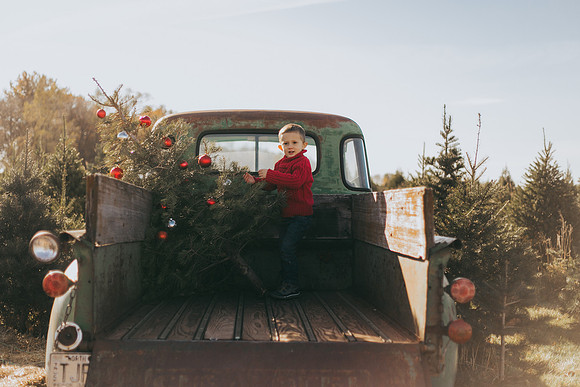 Tree Farm-38