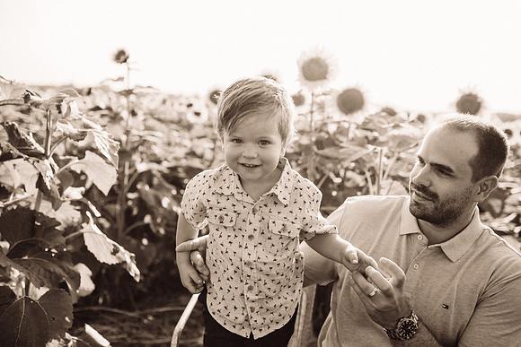 xSunflowers-115