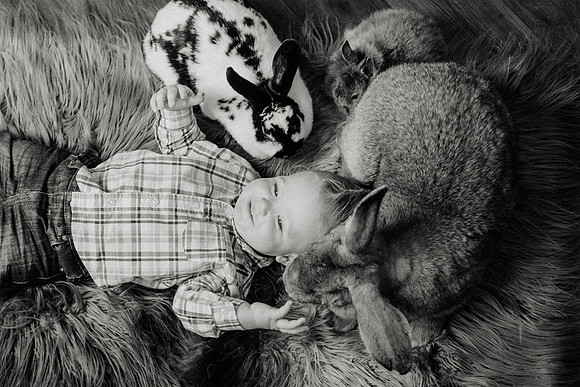 Oliver Bunnies-57