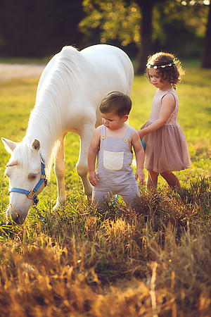 Unicorn-26