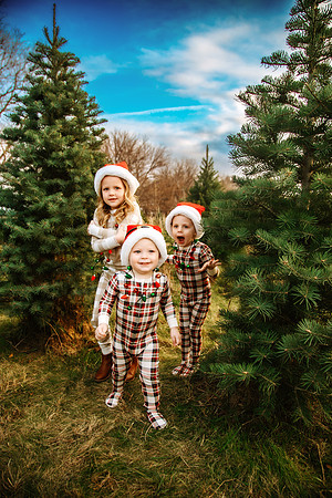 Tree Farm 2024-35