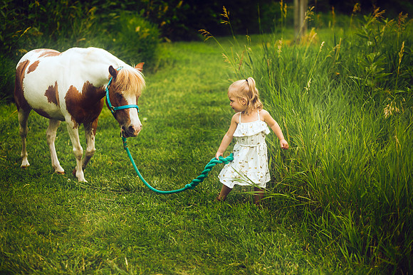 Unicorns 2019-29