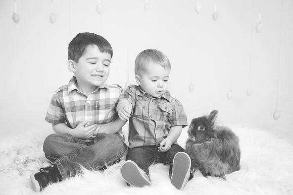 Bunny-2016-55