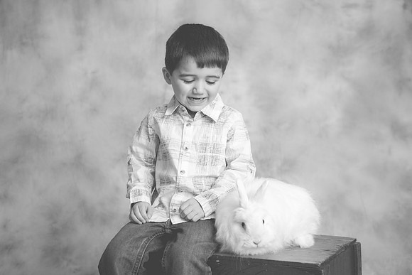 Bunny-2016-70