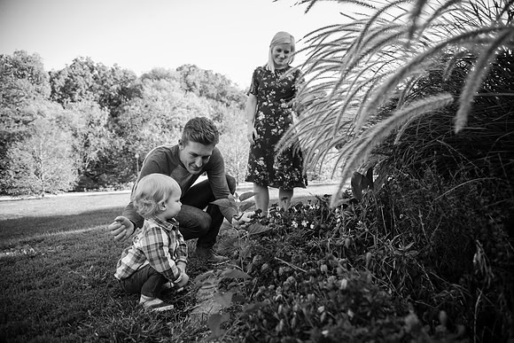 Family 2017-241