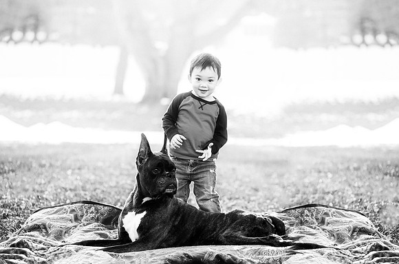 xPuppies 2020-4