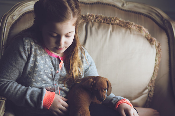 Puppies_-25