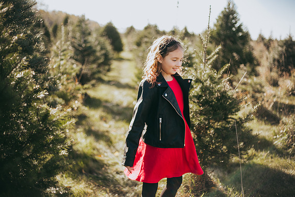 Tree Farm-53