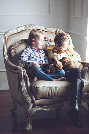 Puppies_-35