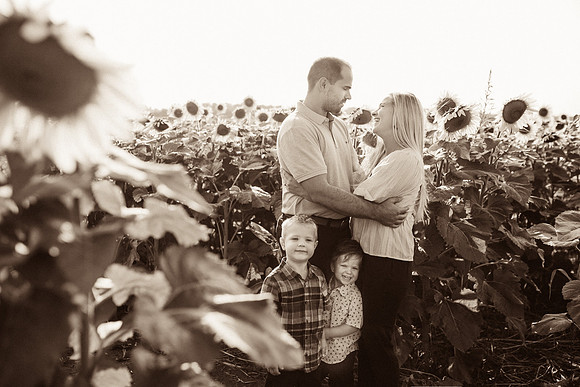 xSunflowers-4