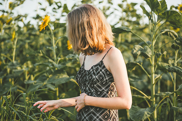 Sunflowers 2021-25