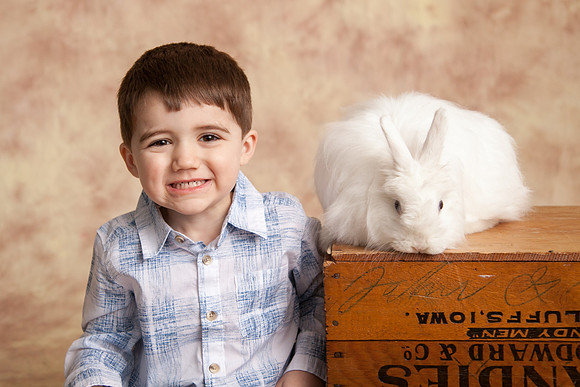 Bunny-2016-24