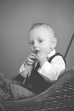 Quinn 8mth-54