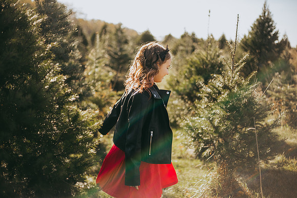 Tree Farm-55