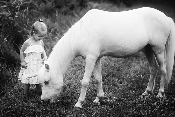 xUnicorns 2019-11